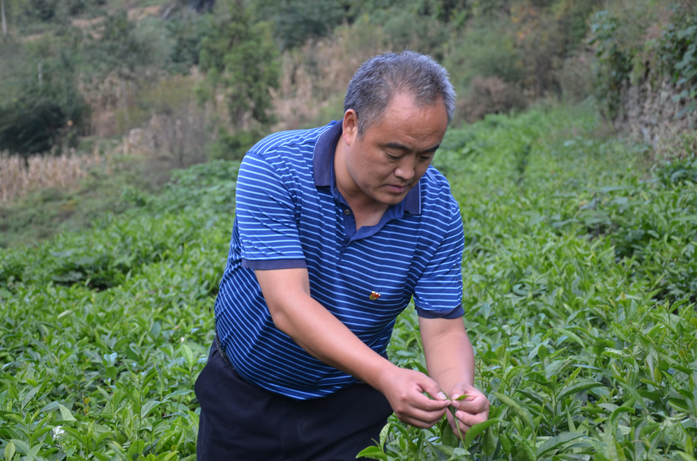 竹山县双台乡党委书记高兴恕精准扶贫先进事迹 高兴恕,房县人,参加